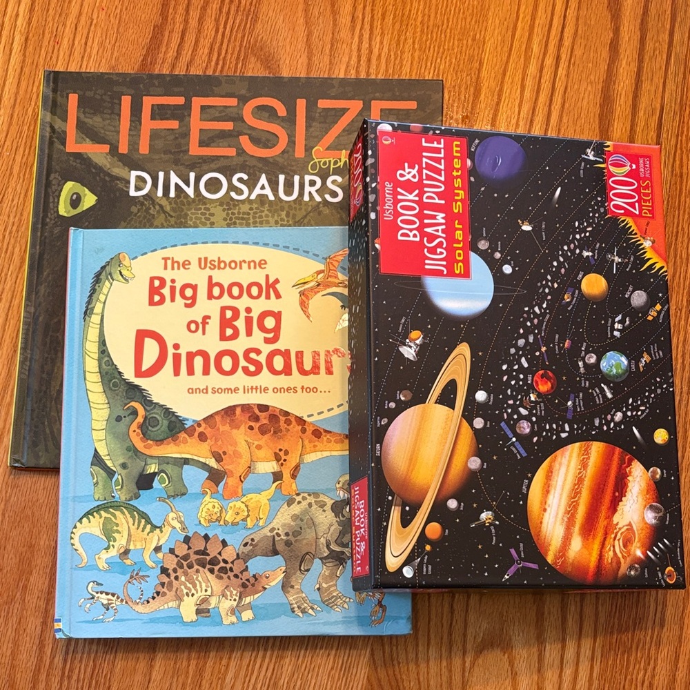 Usborne Dinosaur and Space Puzzle Book Set